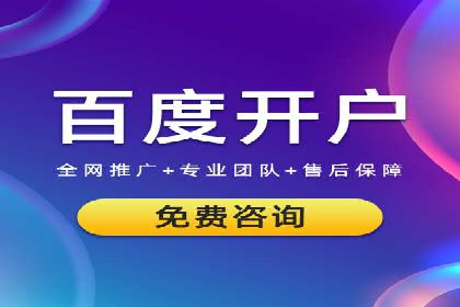 某电商平台的SEM代运营策略解析