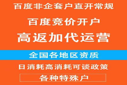 百度竞价托管服务，提升广告投放ROI的秘诀